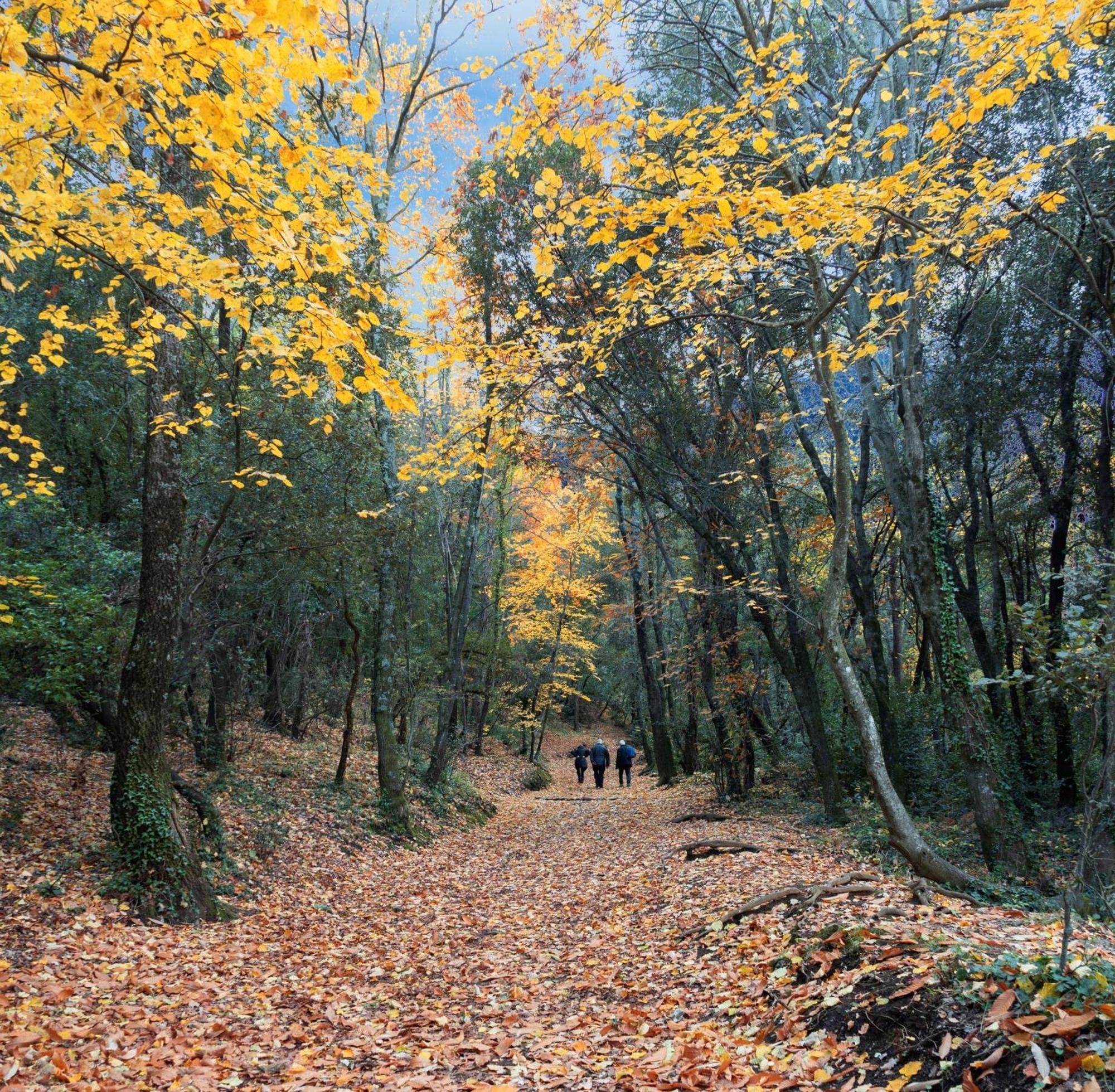 Отель Rincon De Piedra Bcn Corro de Vall Экстерьер фото